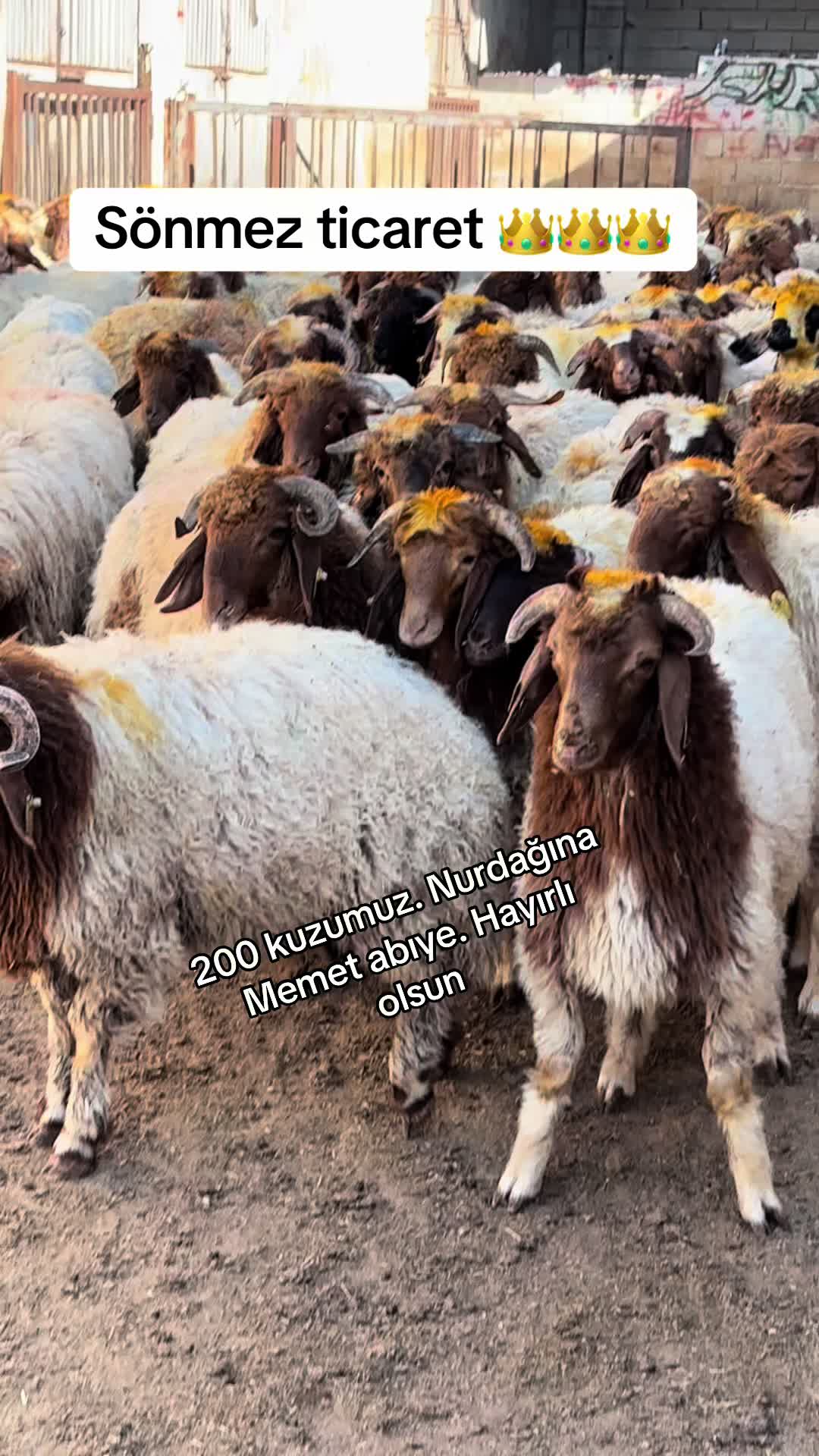 @Ahmet Sönmez