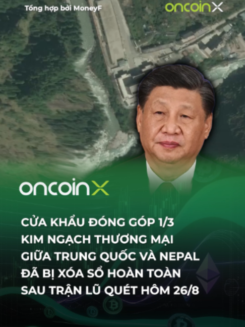 @Oncoin X
