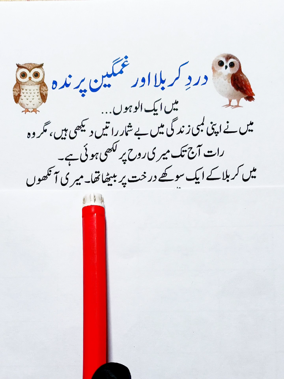 @SADIAS QUIZ