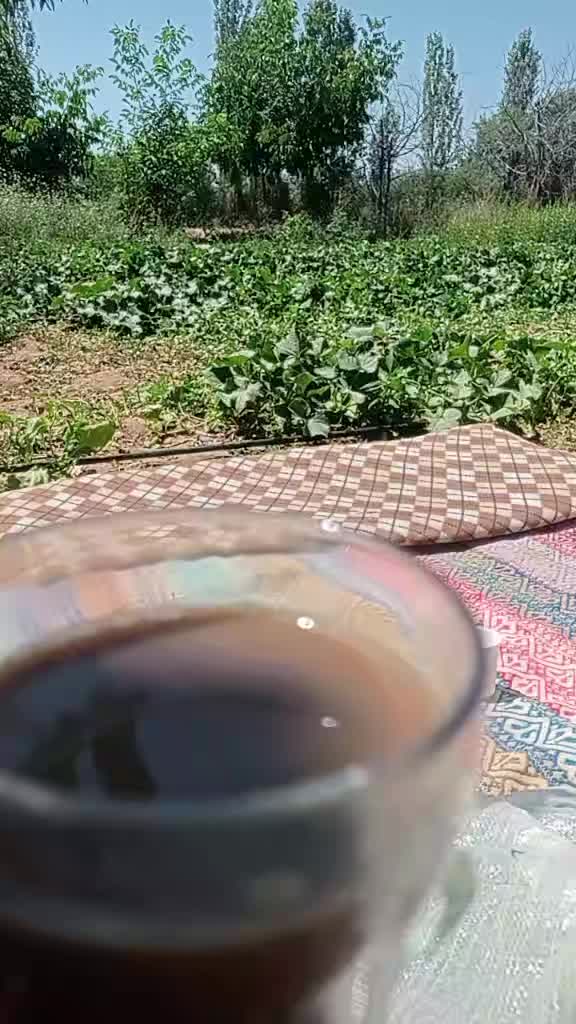 @yasemin sunar