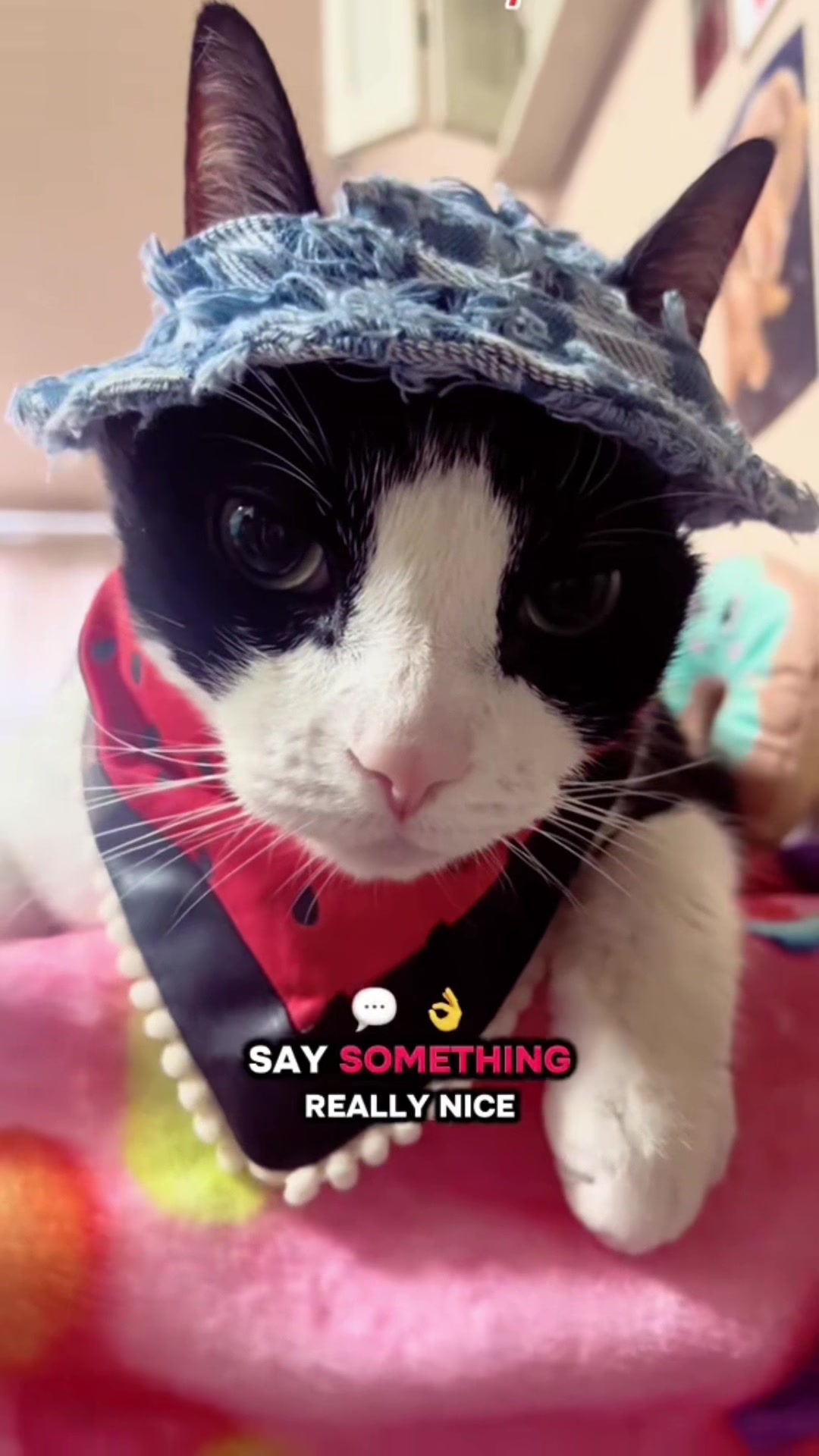 @Concerned_Kitty