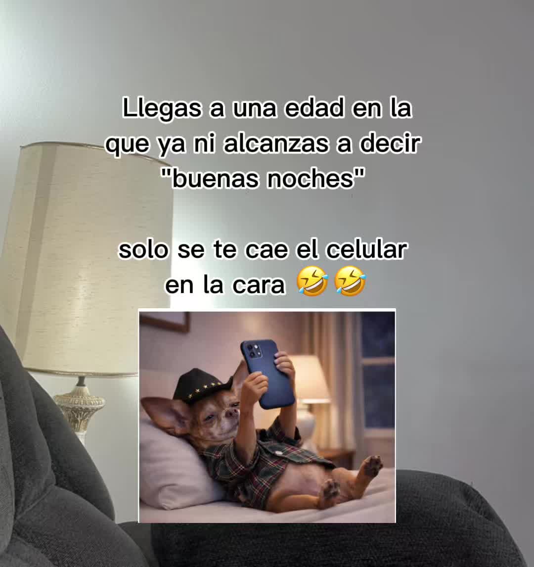 @lolischula