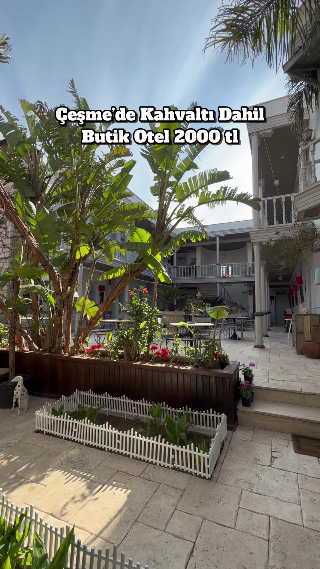 @gezegemiz