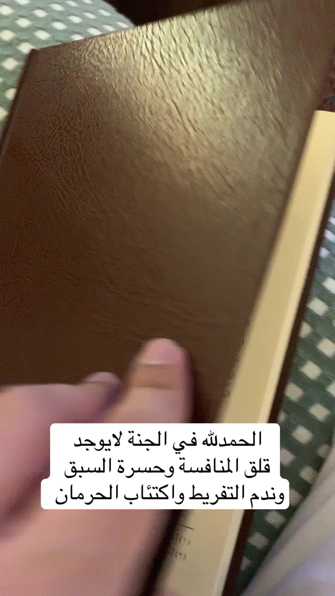 @بندريات