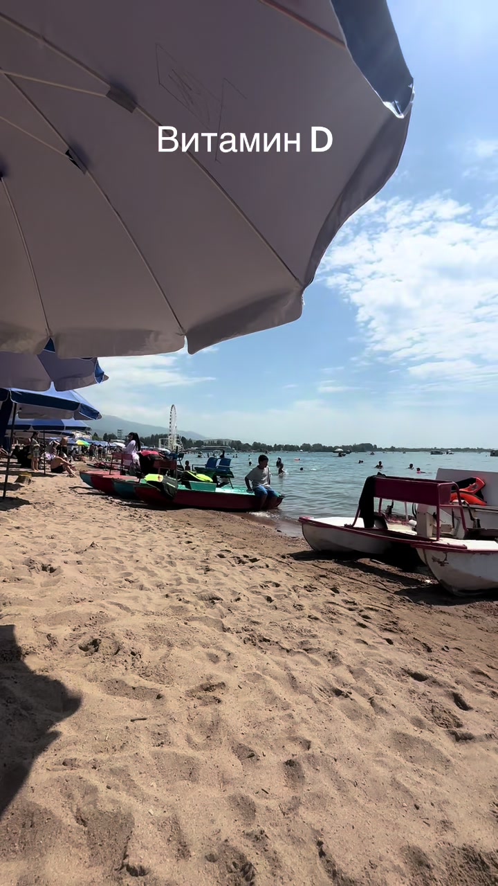 @Aika🐈⬛