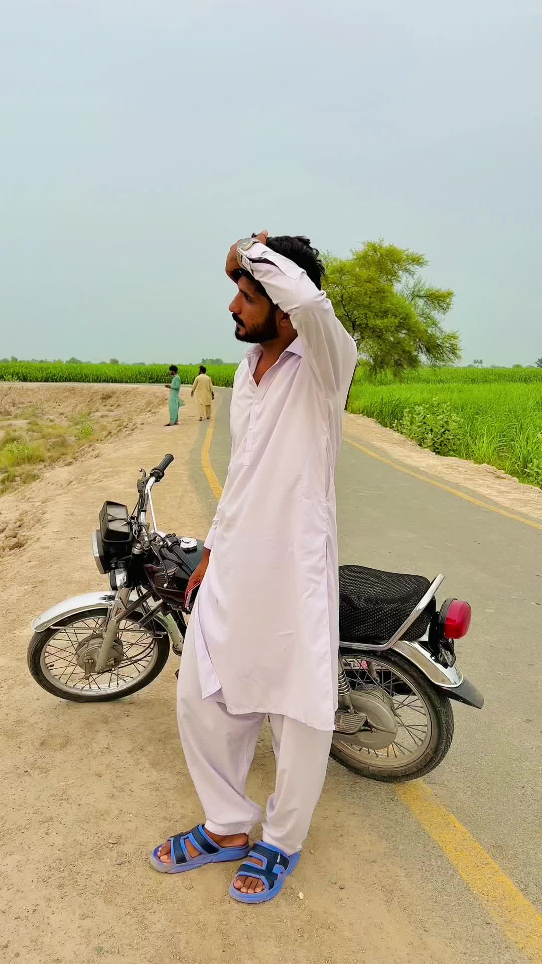 @جام جمشید