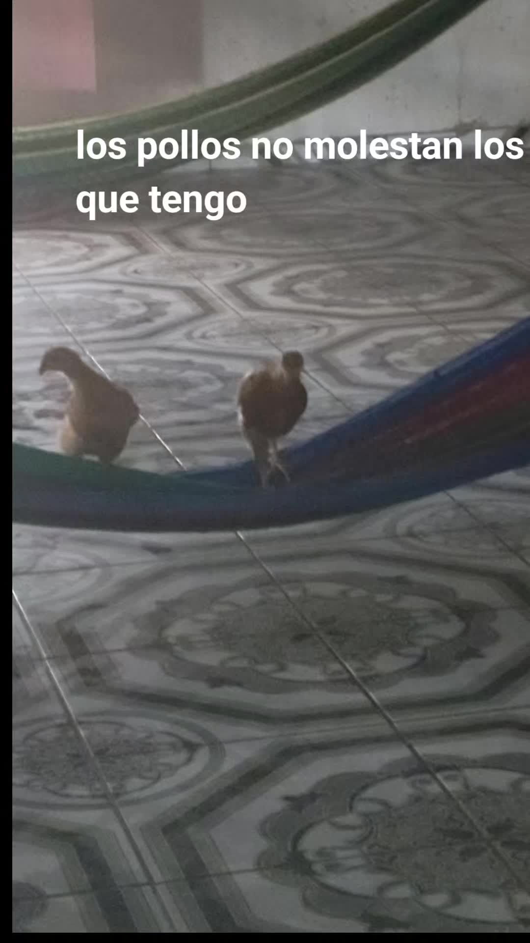 @El DJ