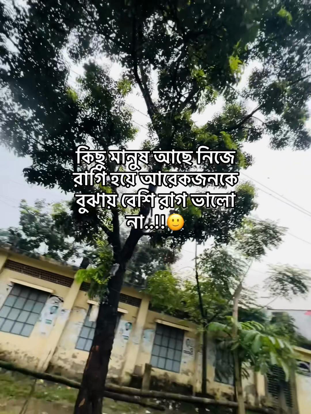 @টিক-টিকি