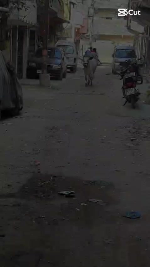@Ahsan Sheikh940