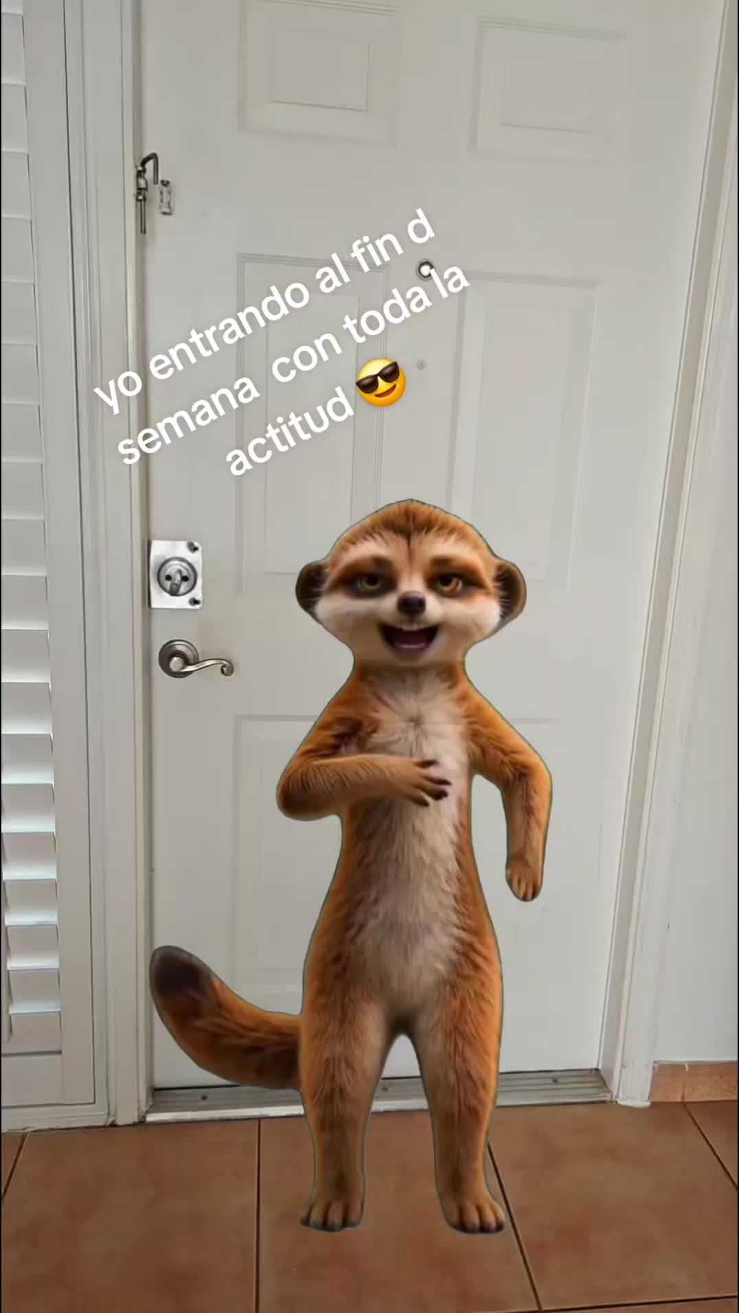 @ANJELICA@