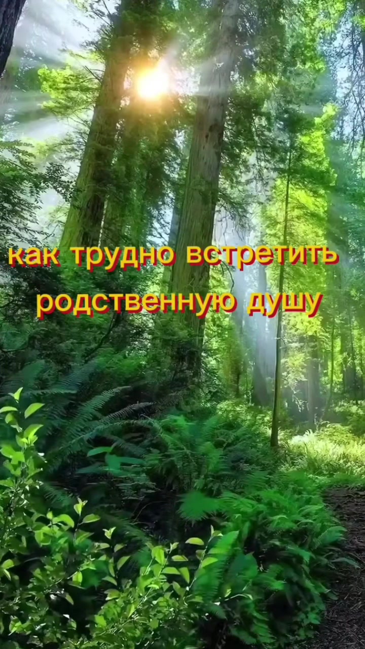 @🕊️❤️Надежда❤️🕊️