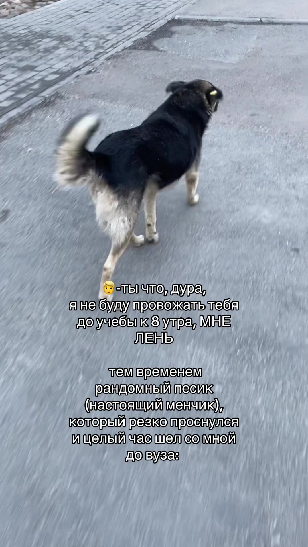 @цыганский табор на приоре