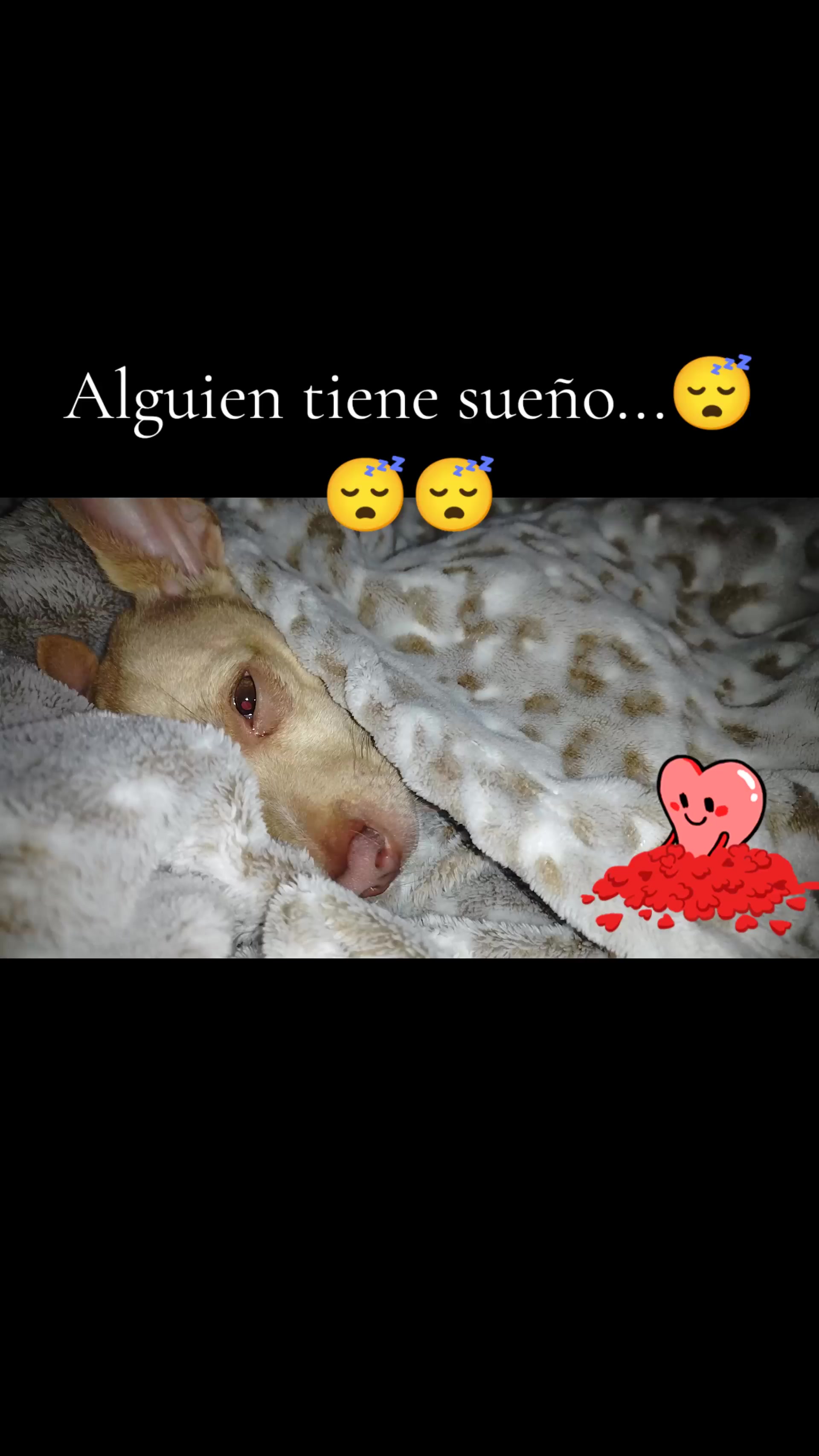 @Veronica Davalos.