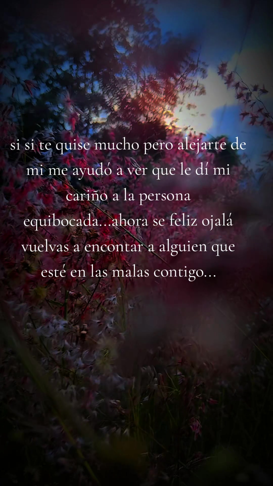 @Odalis Tom&aacute;s