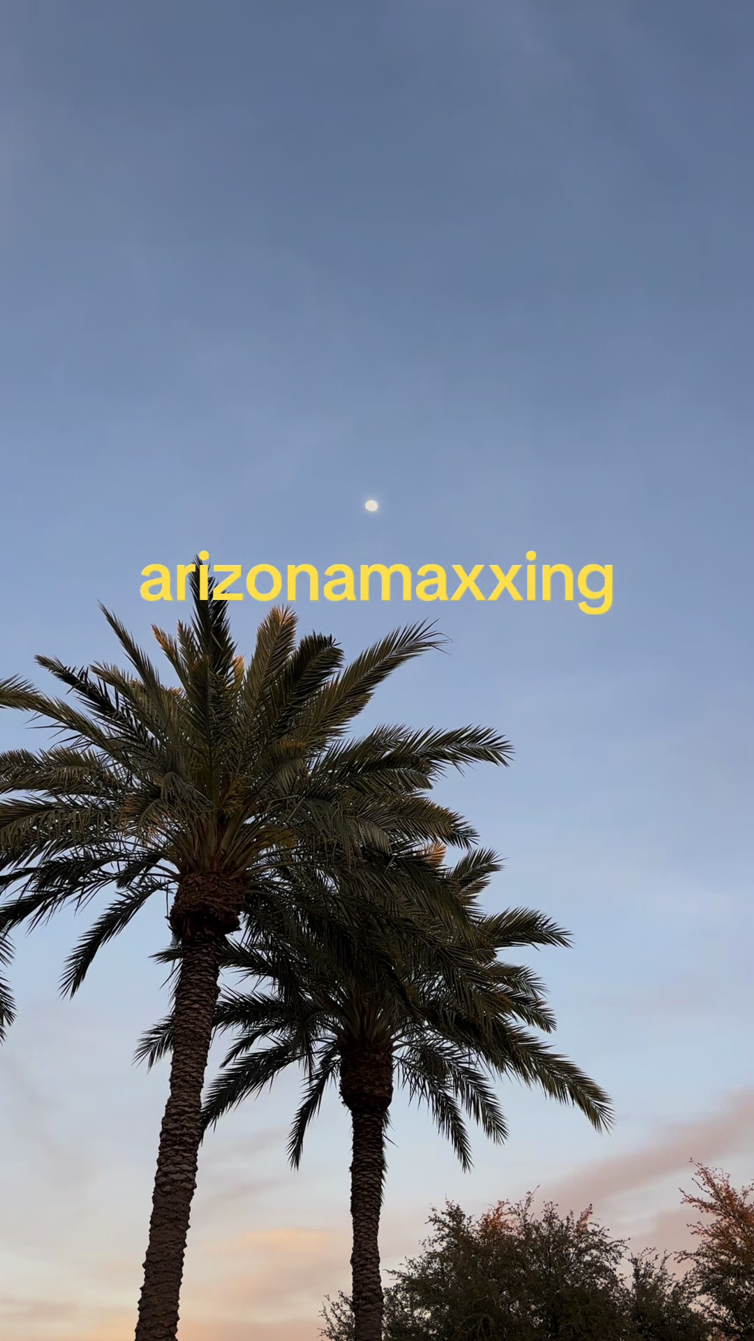 @Local Arizona Life