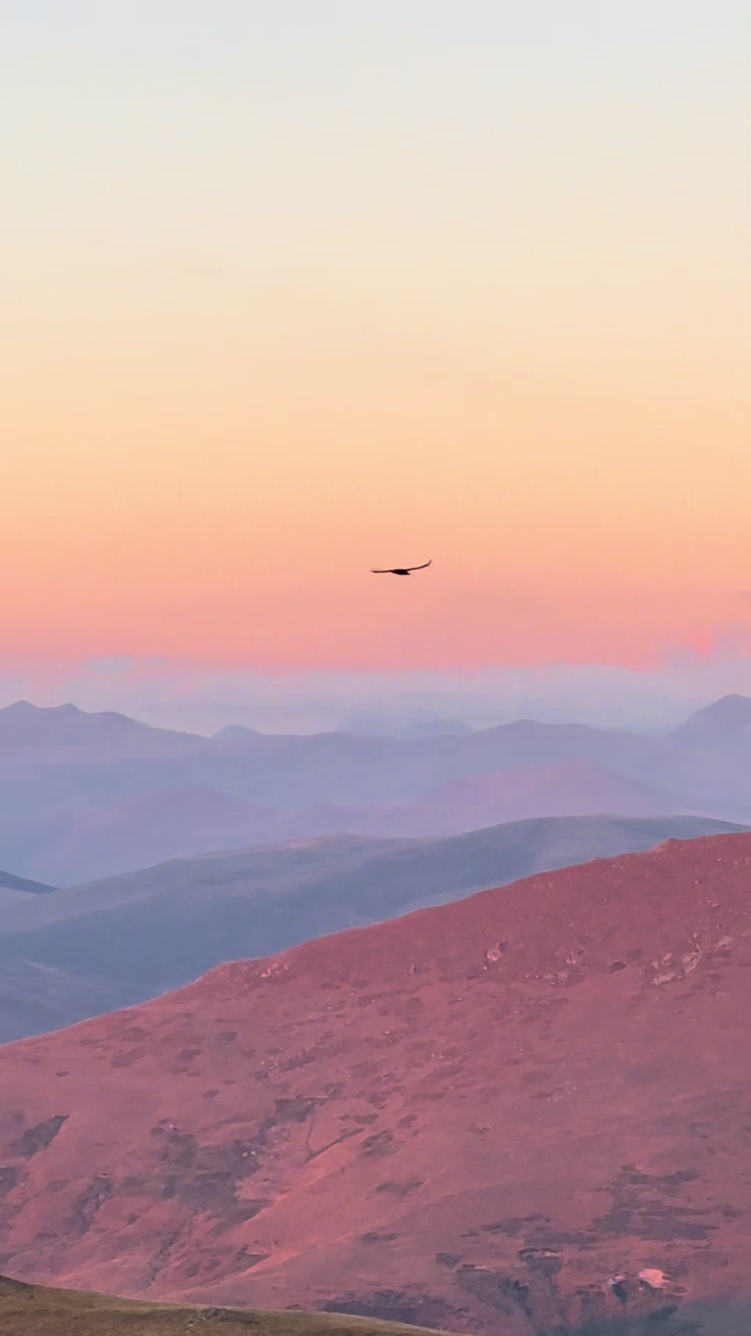 @Moments_inspiration