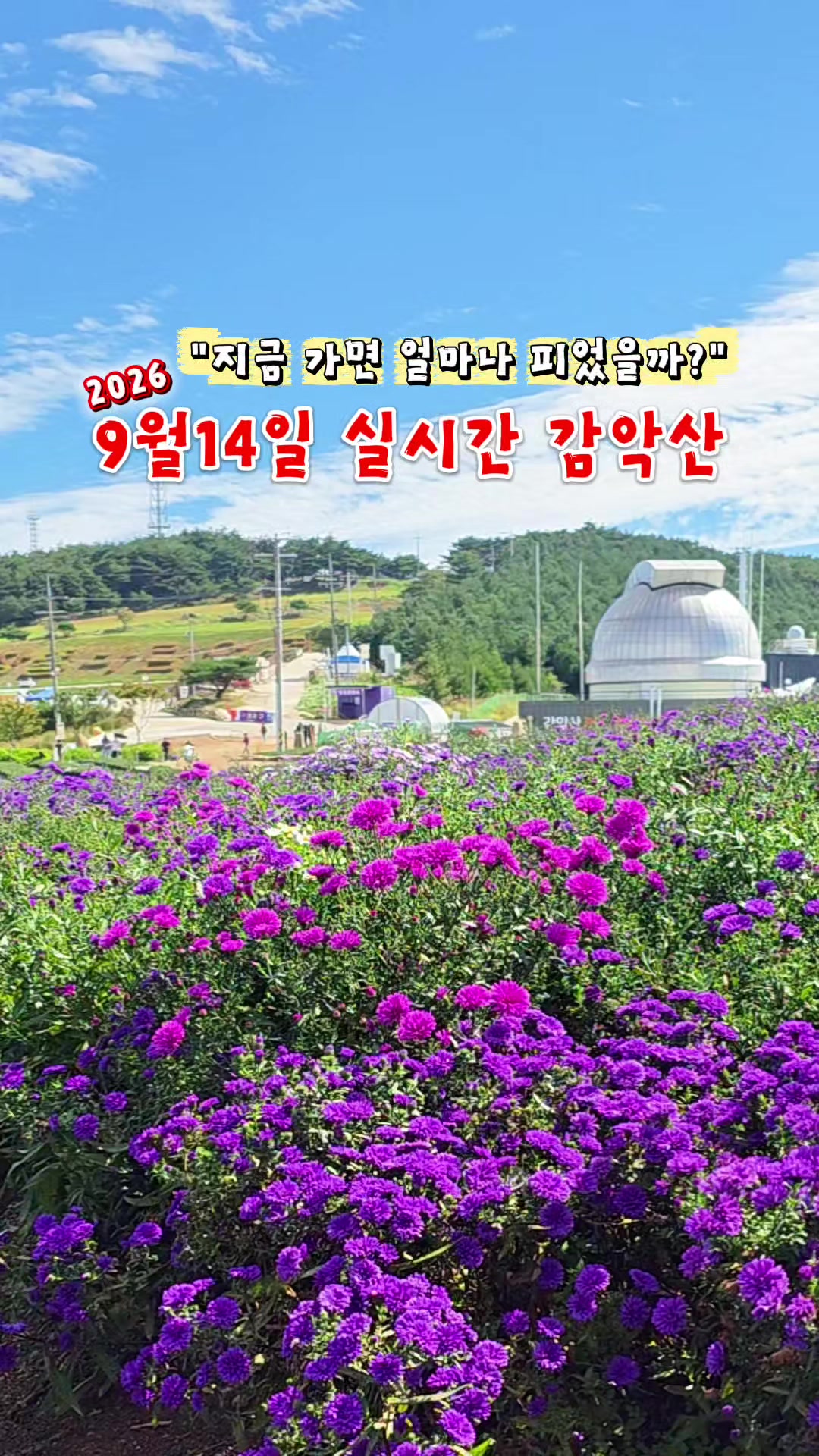 @ON로드 여행기