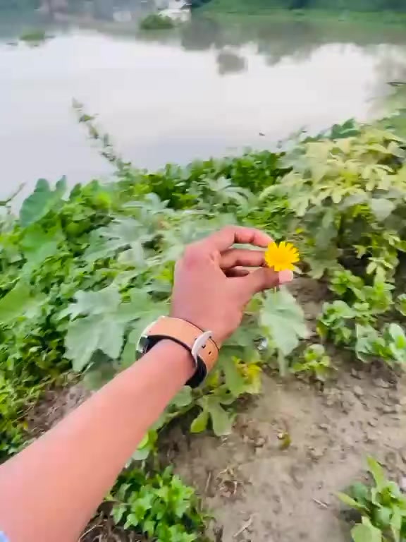 @💐🌸মায়াবতী🌸💐