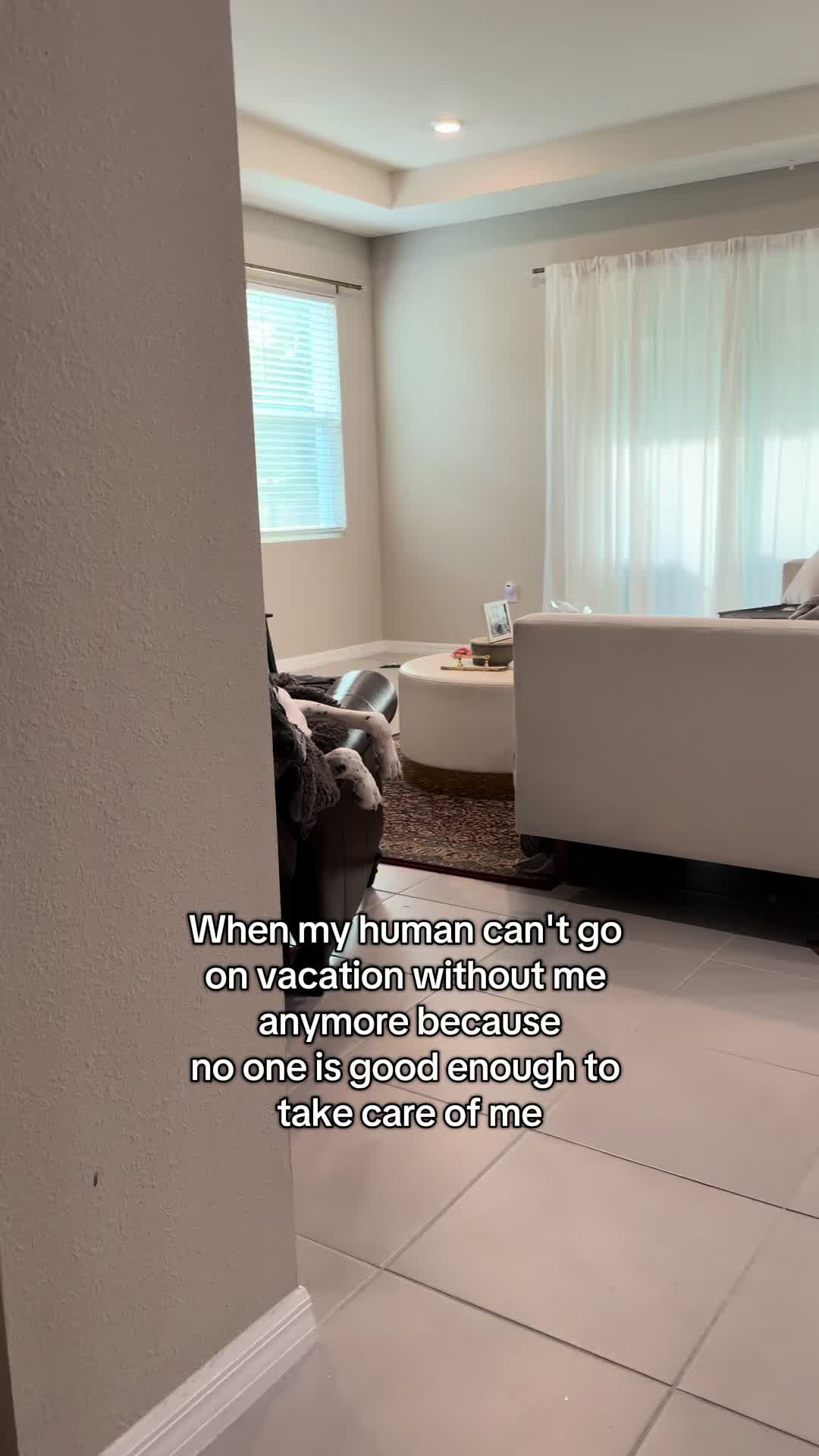 @Greyson the Great Dane