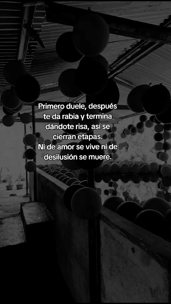 @ABI RODRIGUEZ