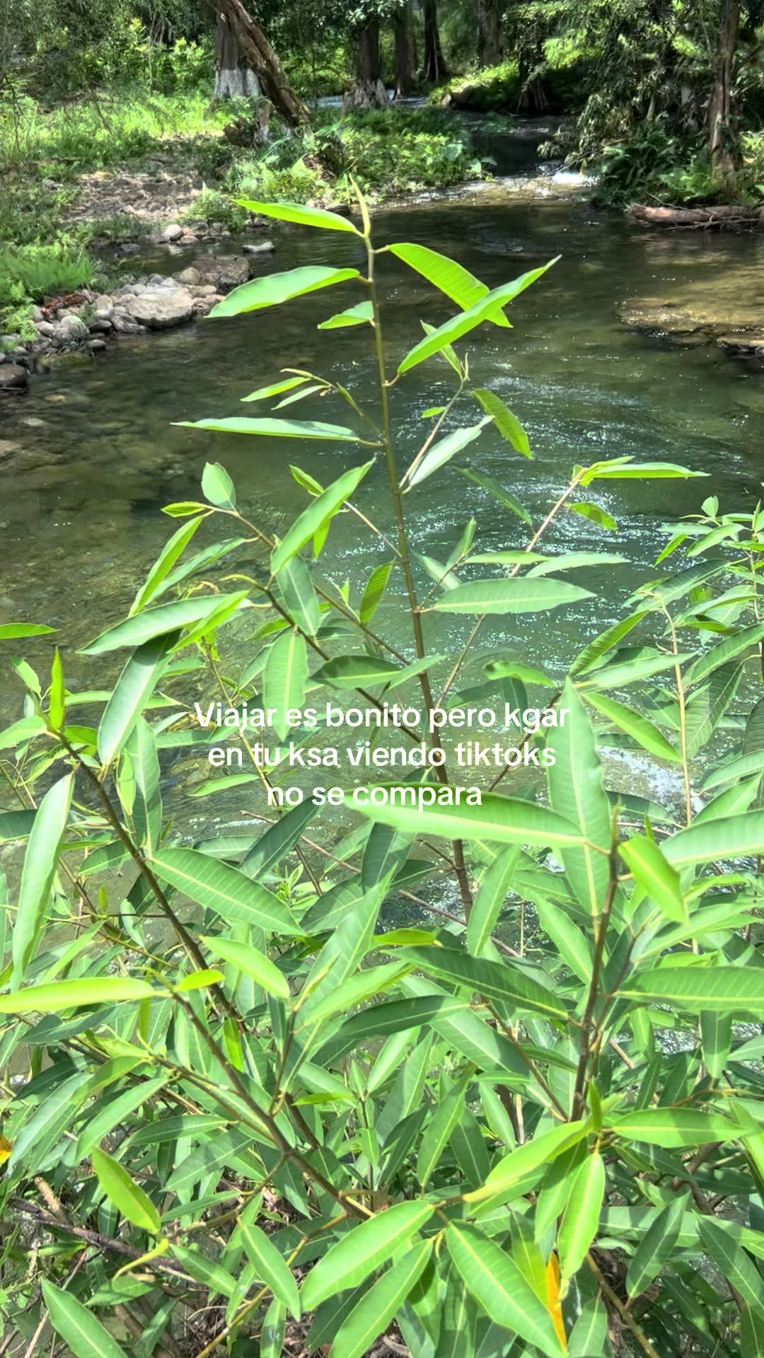 @𝓐𝓻𝓪𝓶𝔂 𝓡𝓿