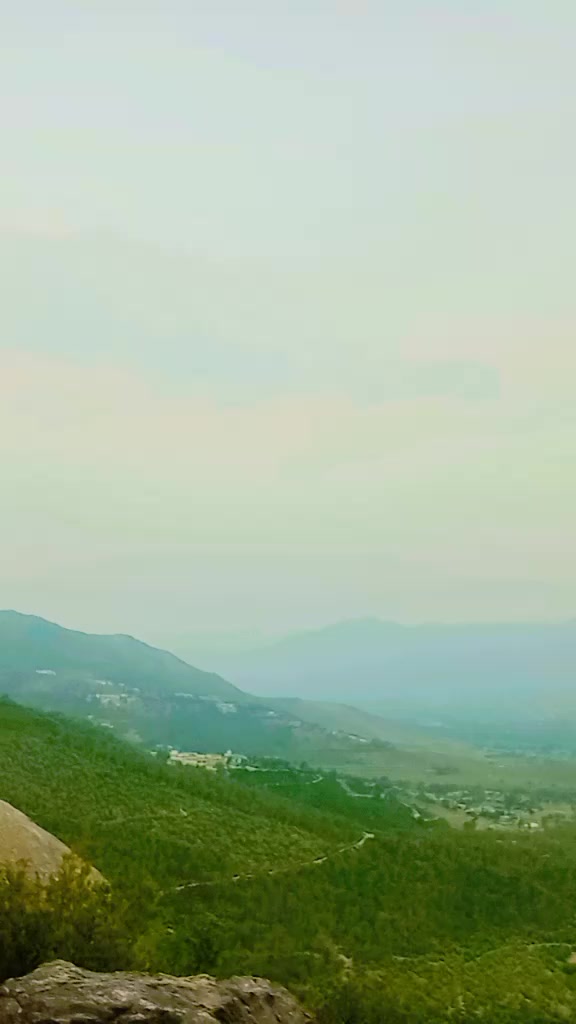 @قیدی نمبر 804✌️💪