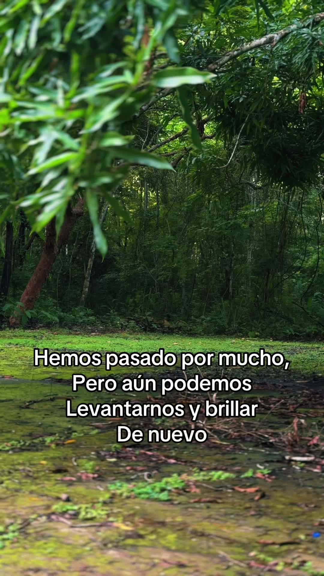 @Sin Putas Ganas