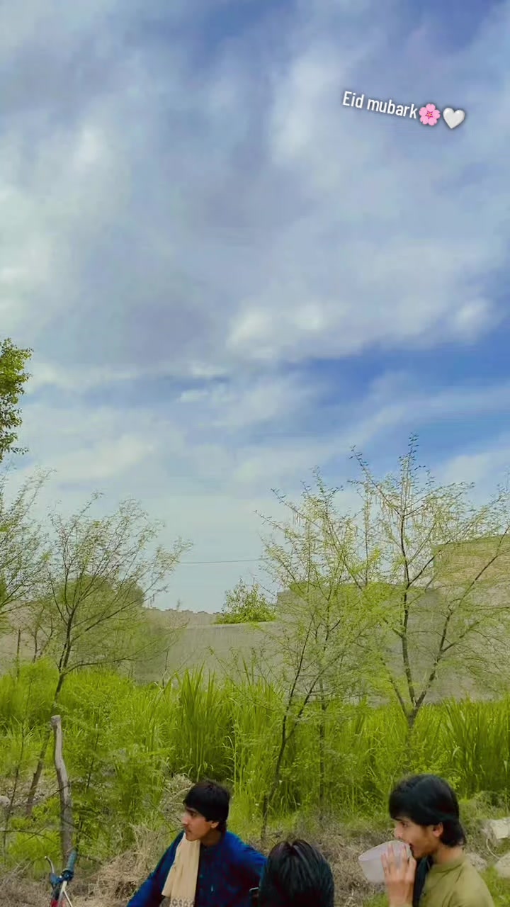 @{Miaنi🌸🤍}°^°