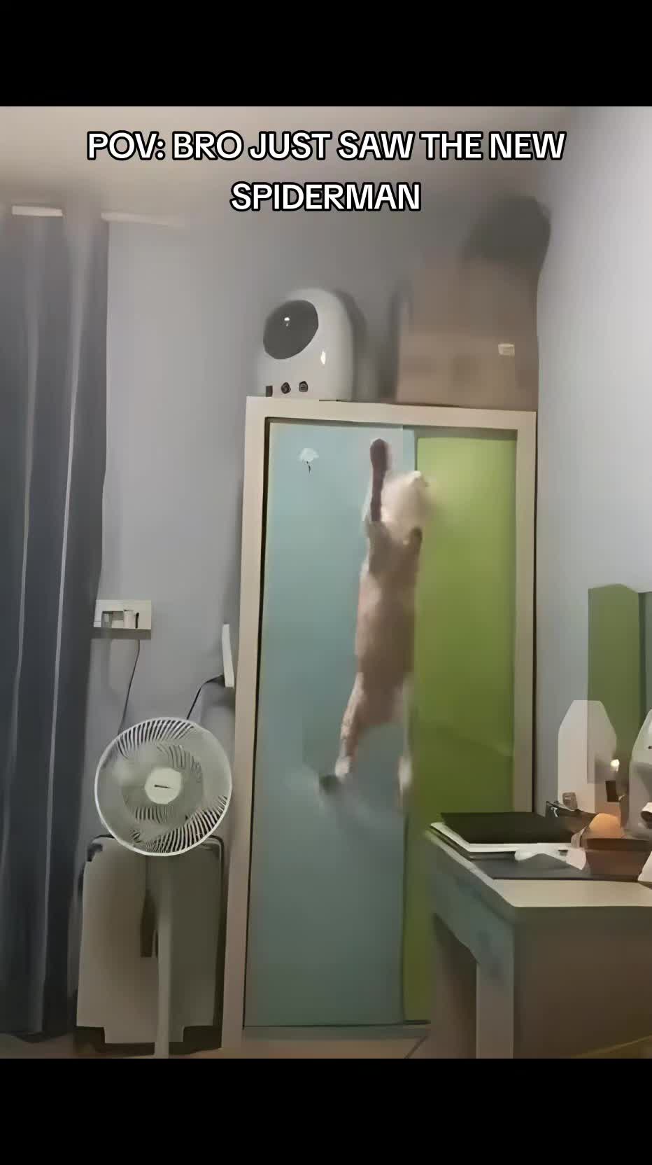 @Wheems