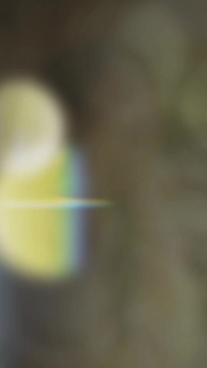 @༲࿆༫࿆࿂ฬɧ◊ ÞÈฬÎ ༲࿆༫࿆࿂
