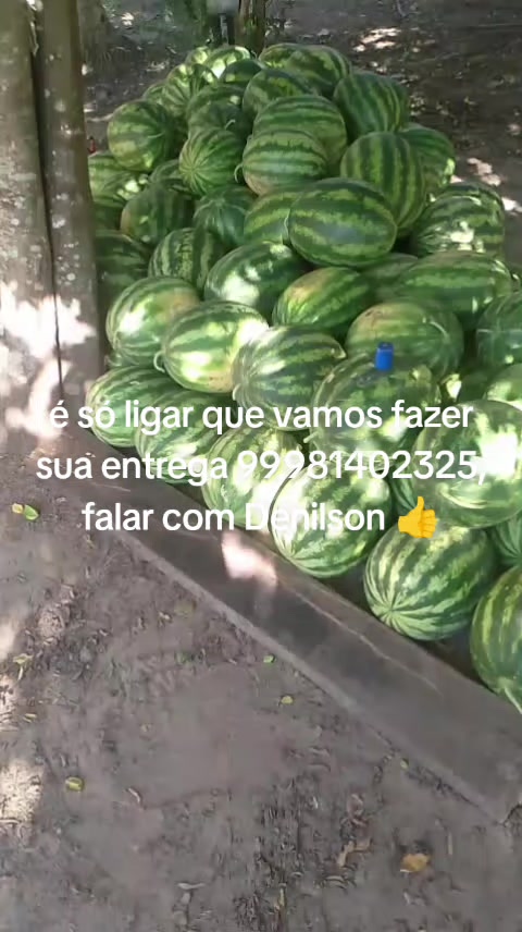@francinete.netinha