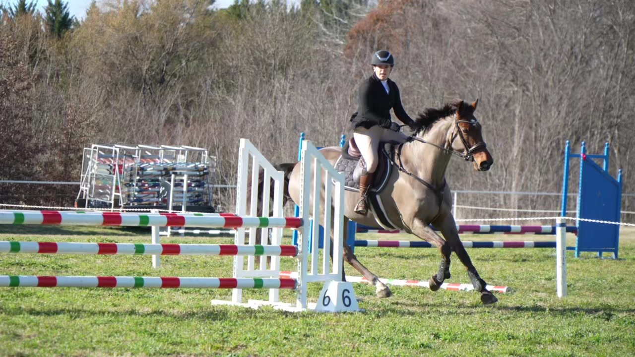 @TDDG Equestrian