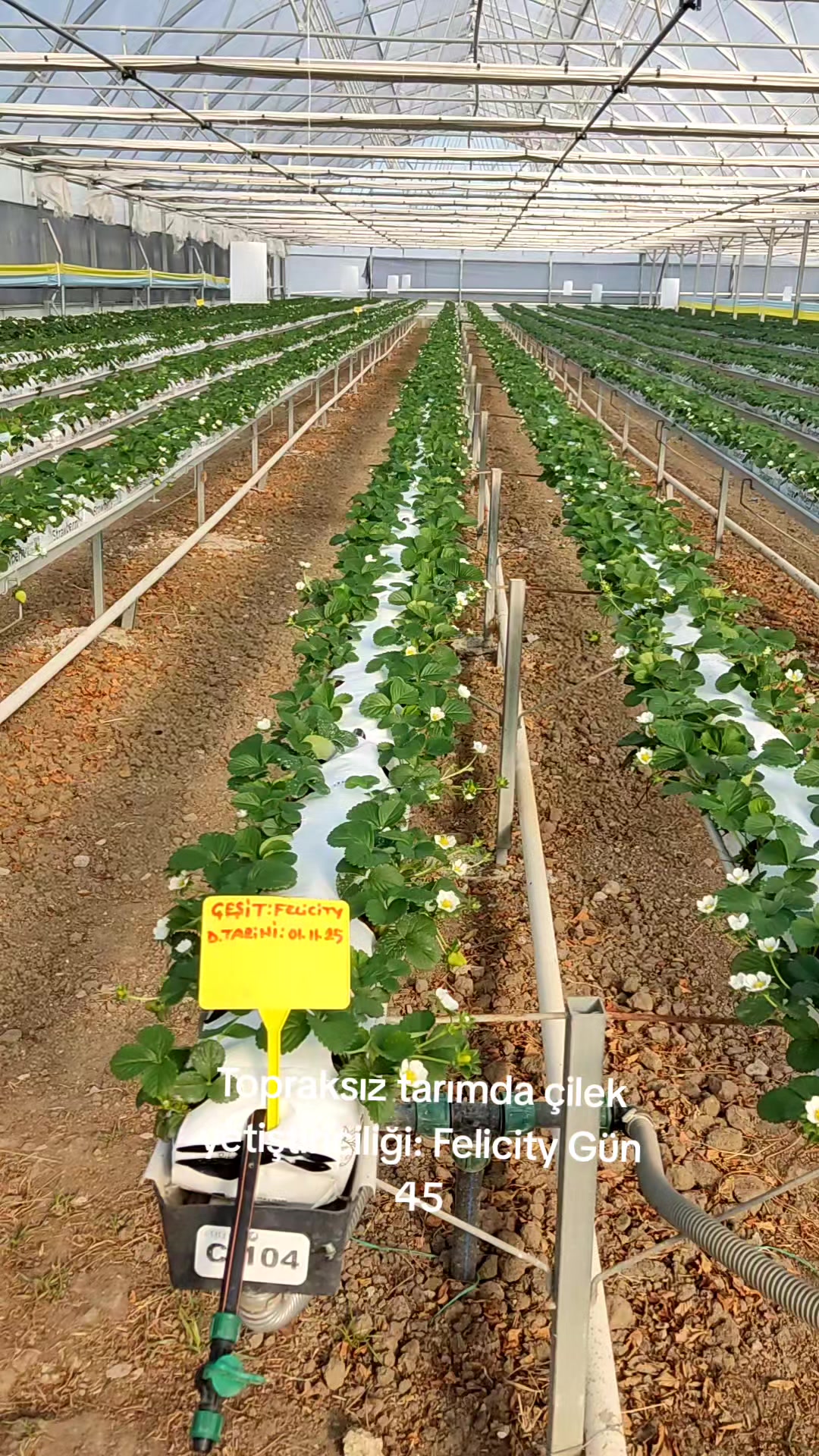 @Kartes Tarım Danışmanlık
