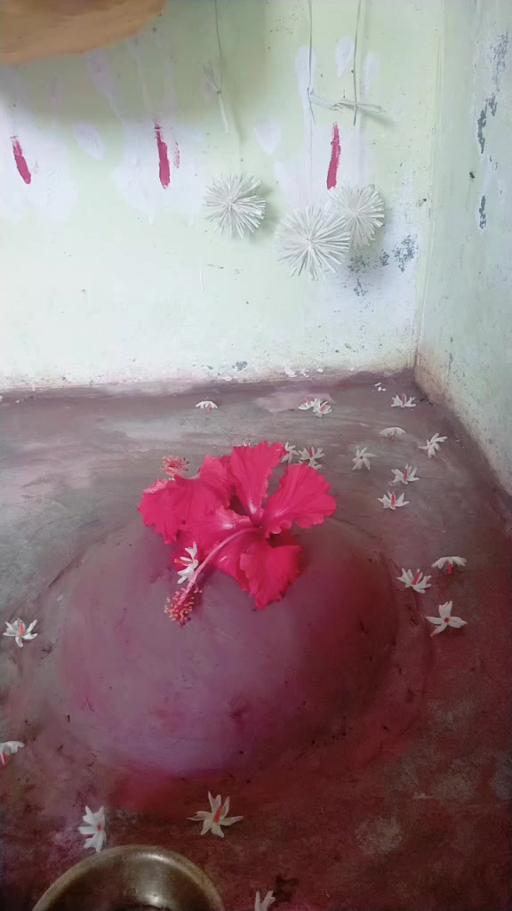 @Mina Shriwasatav