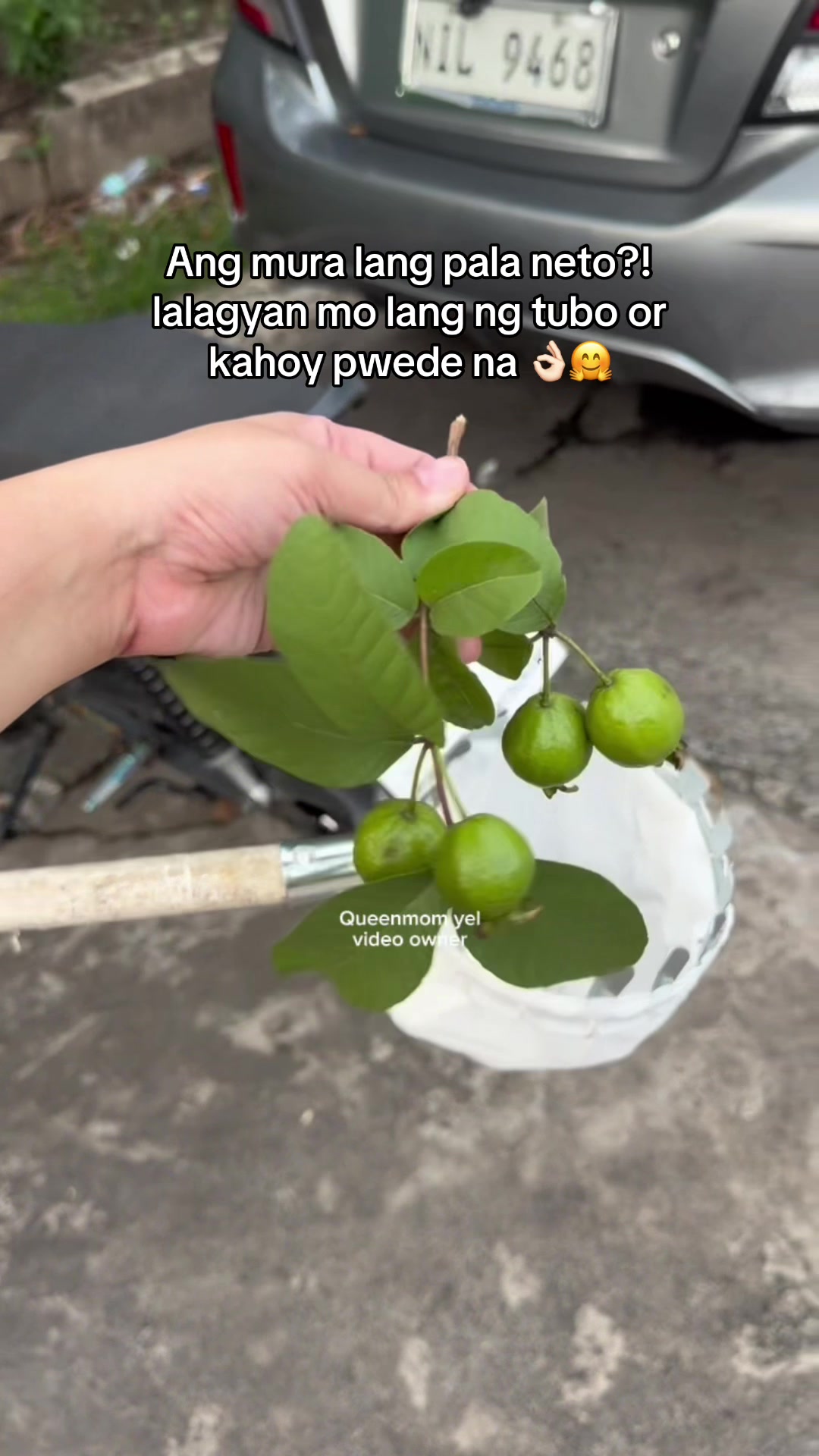 @Queenmom Yel 👑 ✨