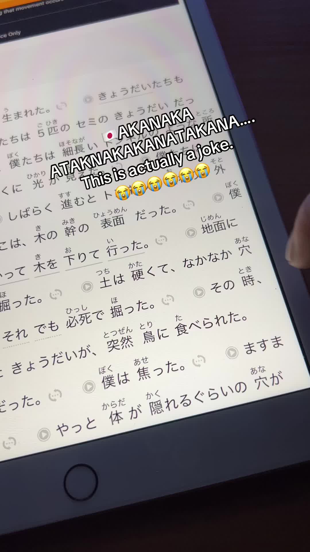 @gaijinroad