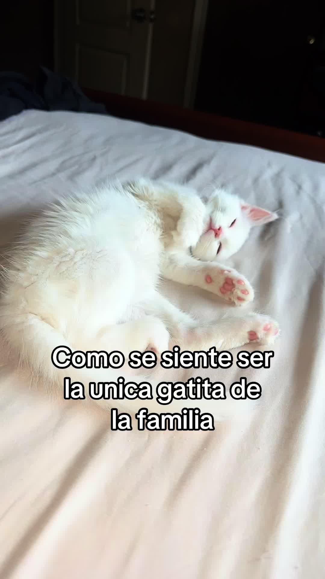 @Claudia