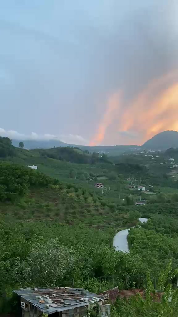 @saneela0