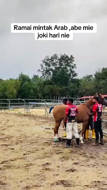 @Subdepo Arabian Park