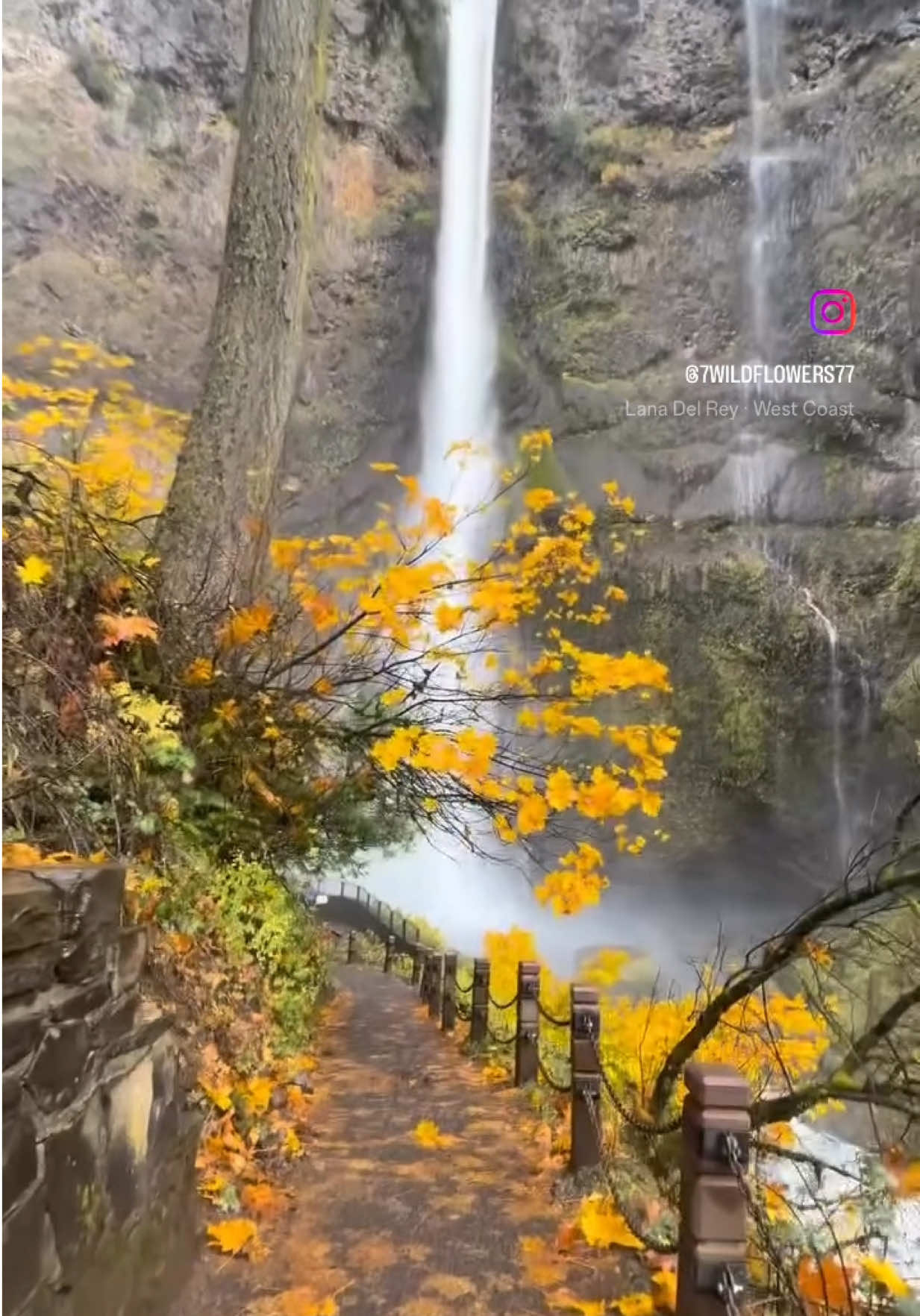 @Sam.7wildflowers.7