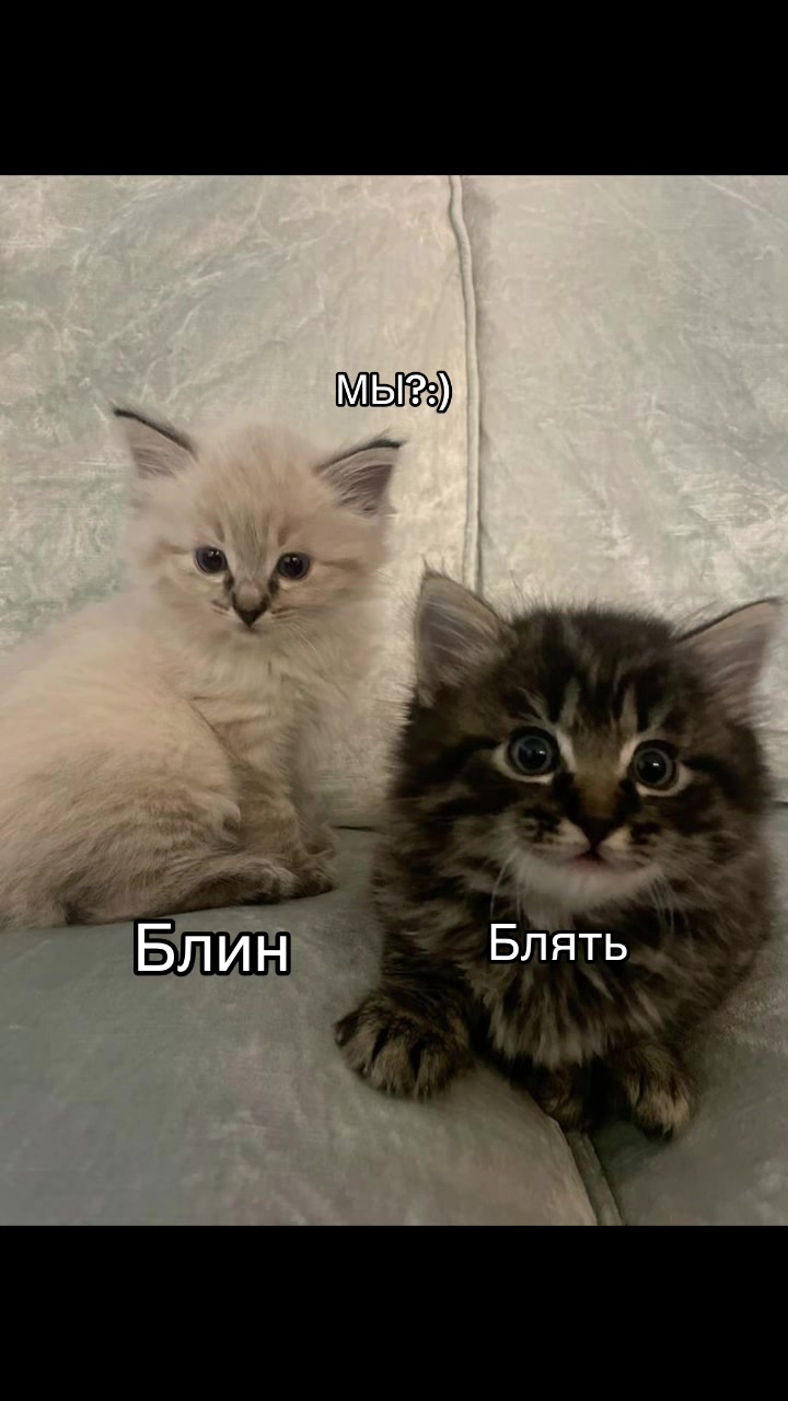 @Aktifsd_$