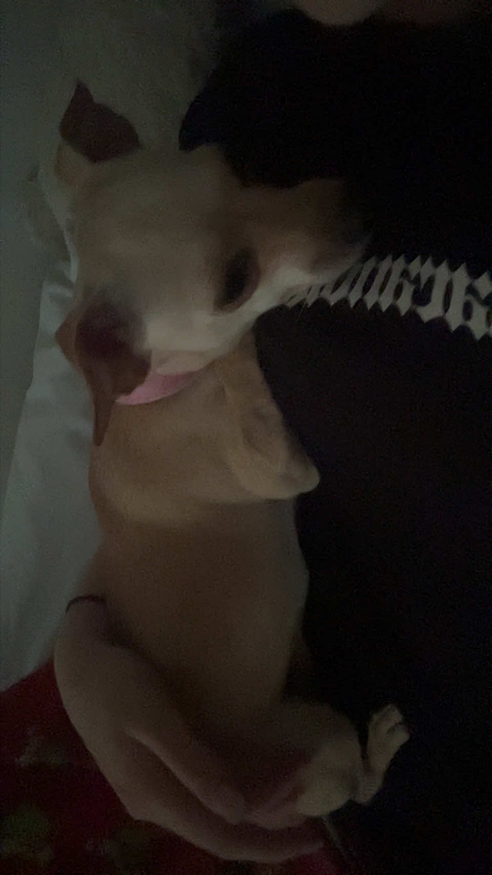 @💋💋💋