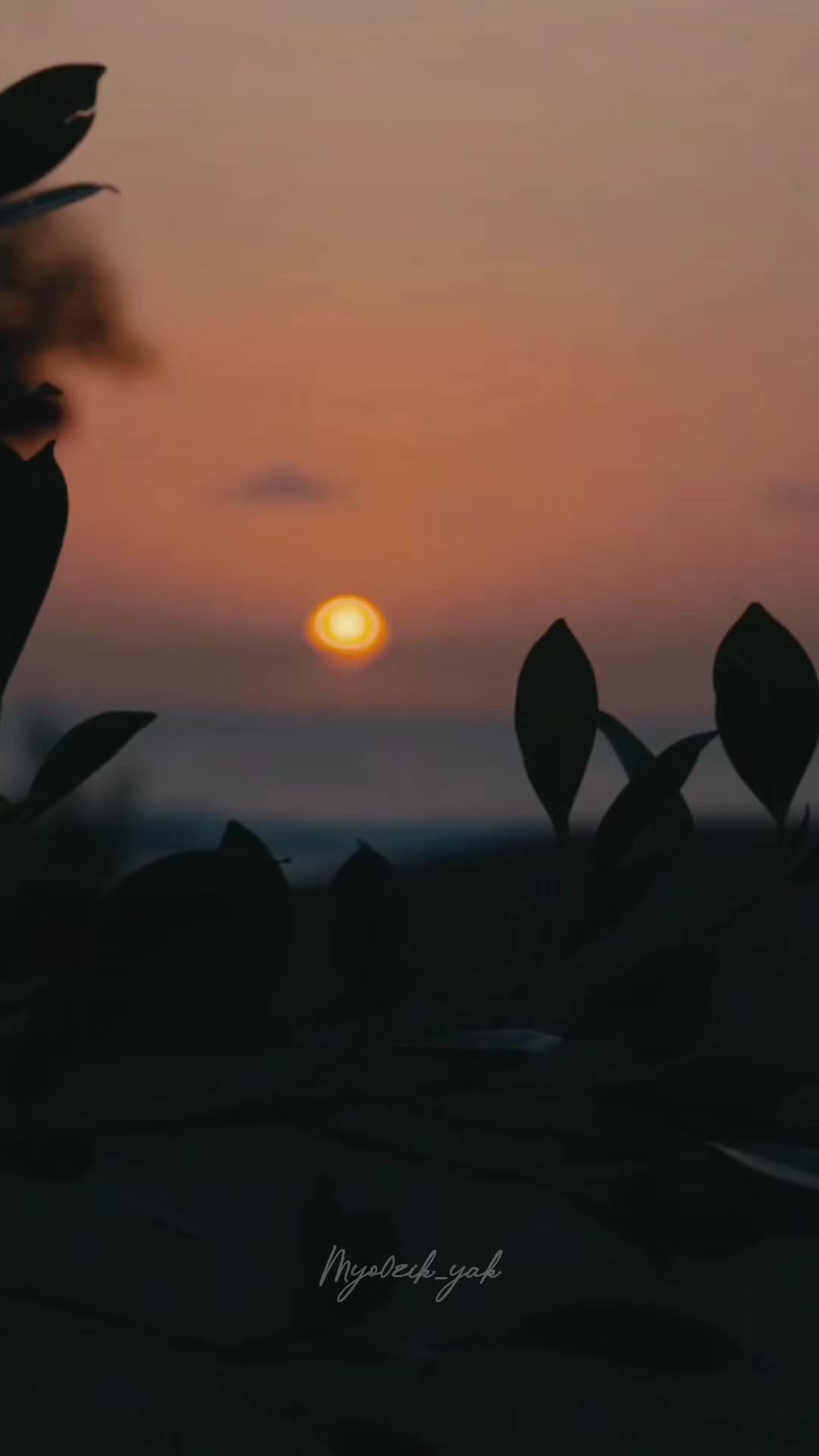 @ꪑꪗꪮ੦ɀỉƙ_ꪗꪖƙ ♪♫♬ 🧬