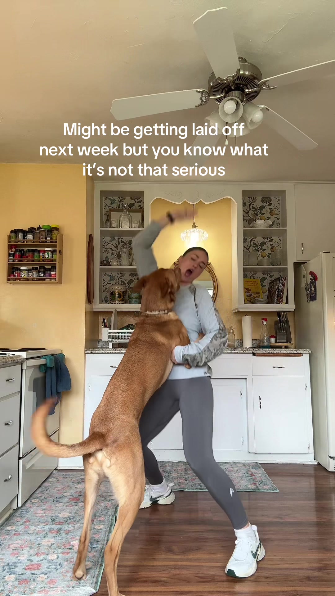 @NoScheffsGiven