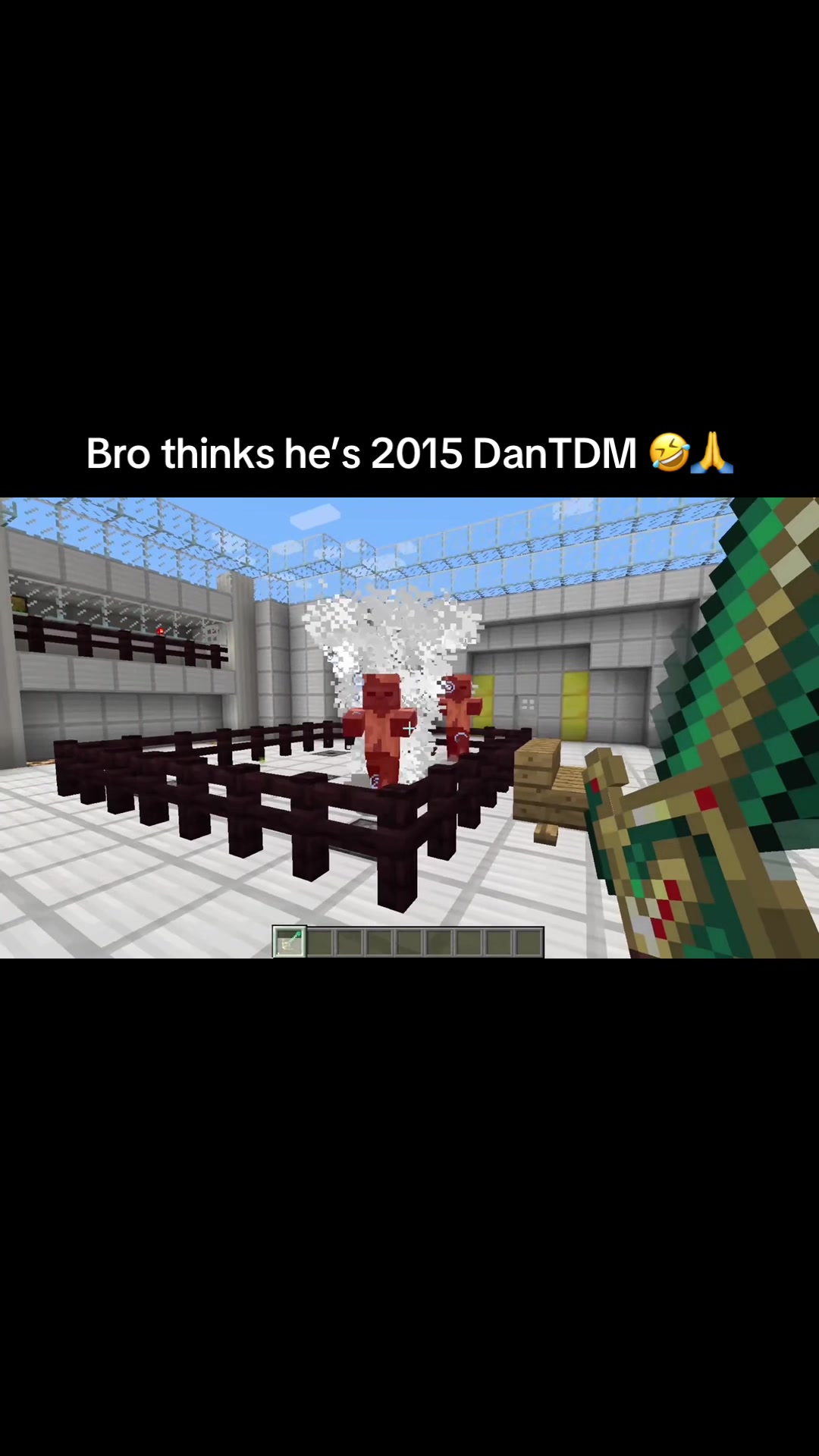 @FanTLM