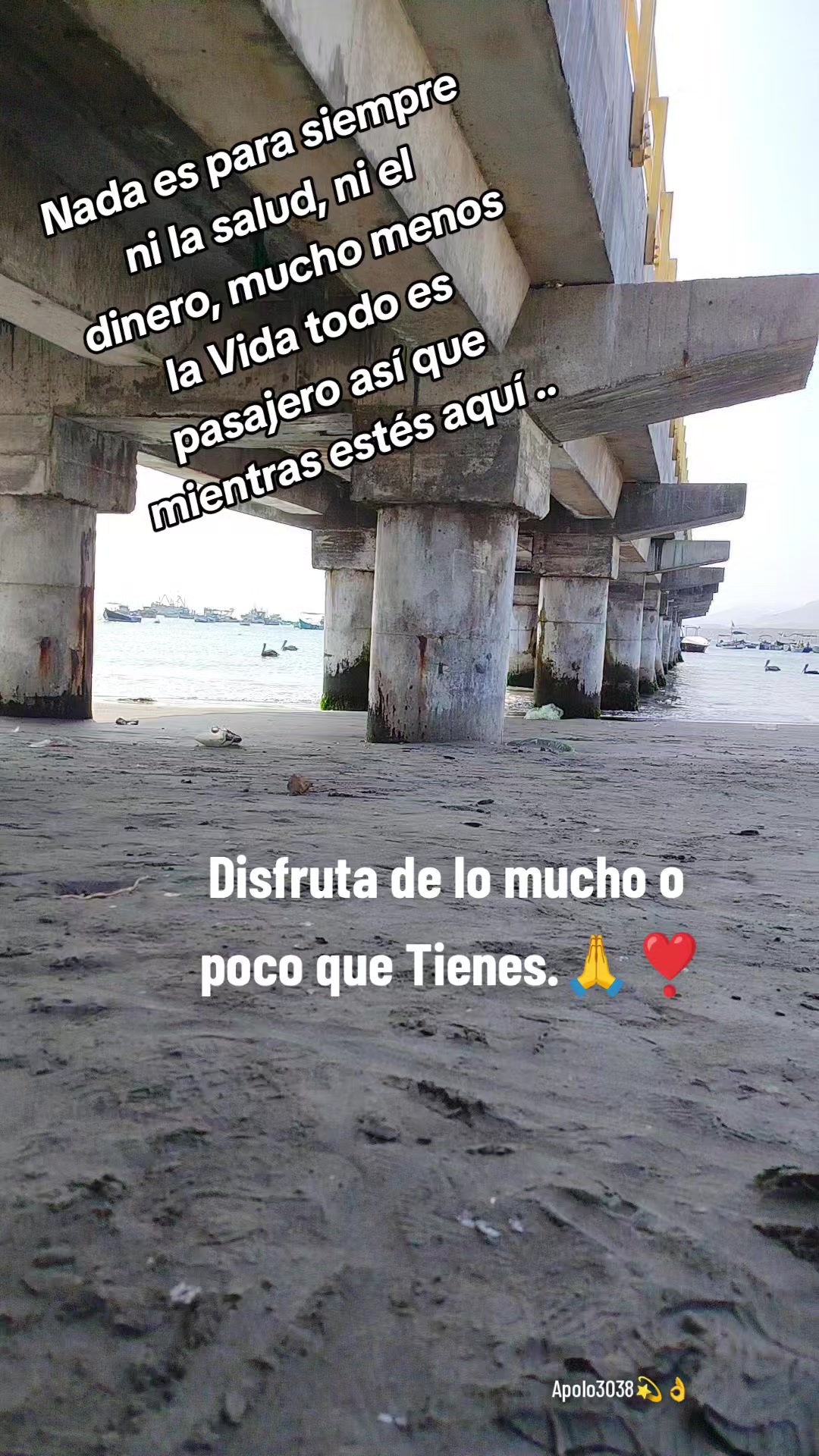 @🦋🦂 Alizita🦂🦋🌺