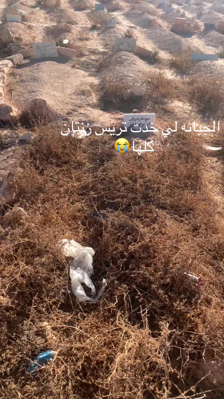 @آلحاج ✨ ABODERPALH