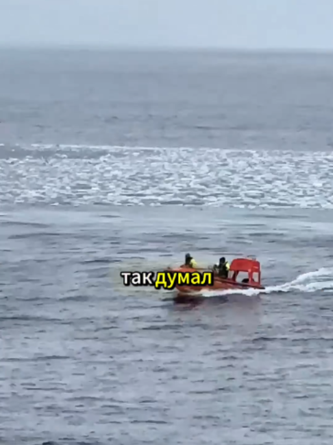 @Краболов Матковский Алексей