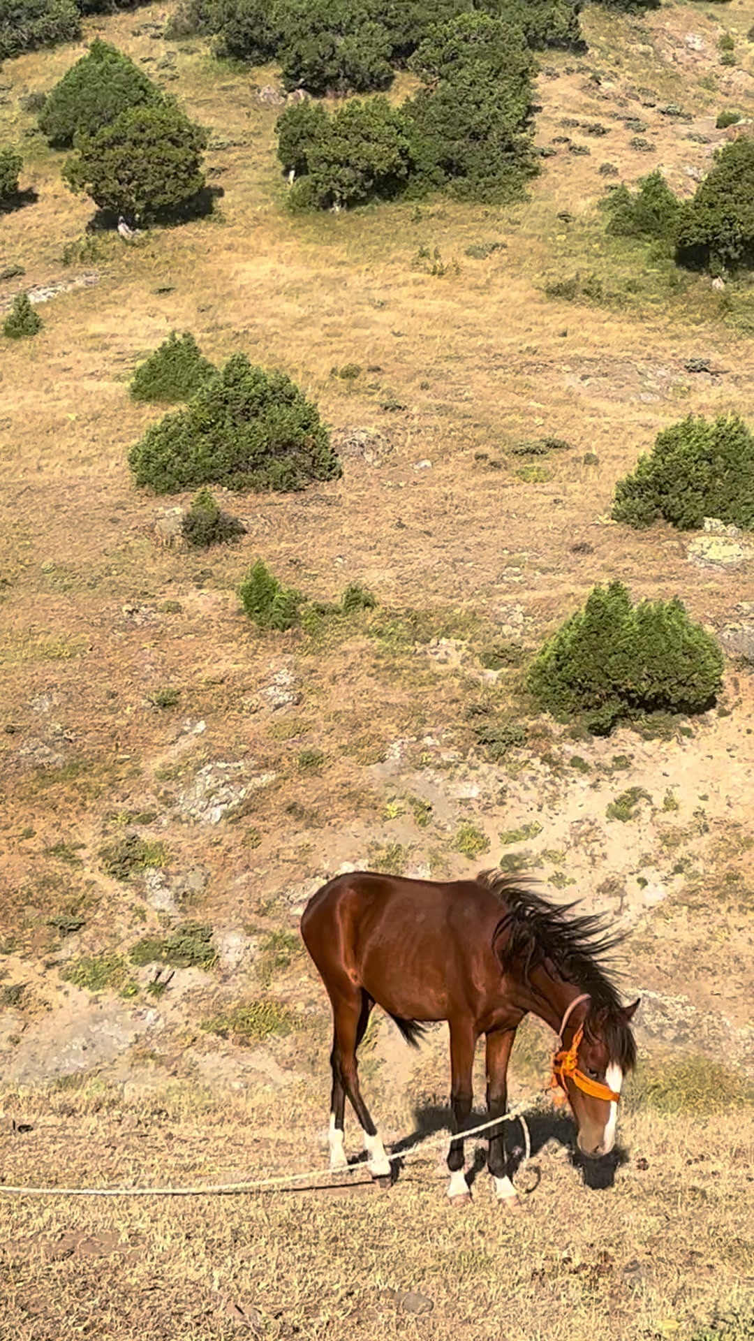 @Alperen Eser25