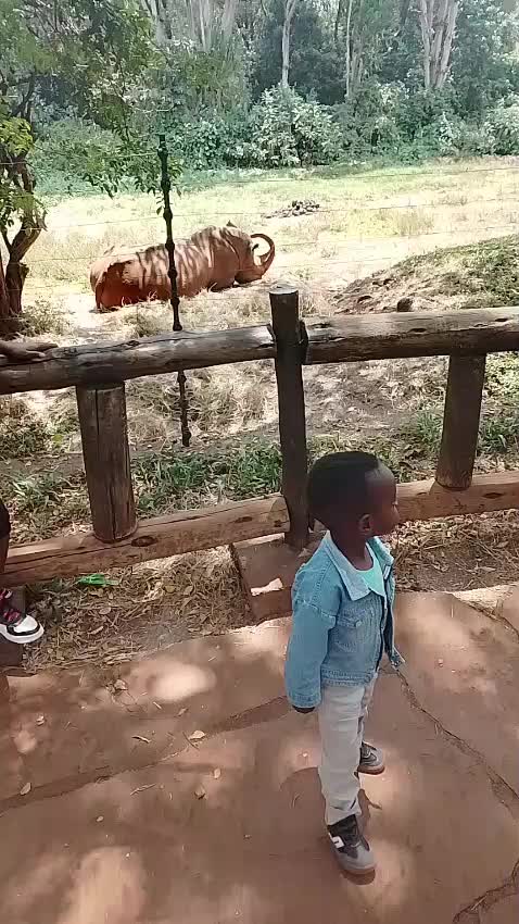 @faykemmy254
